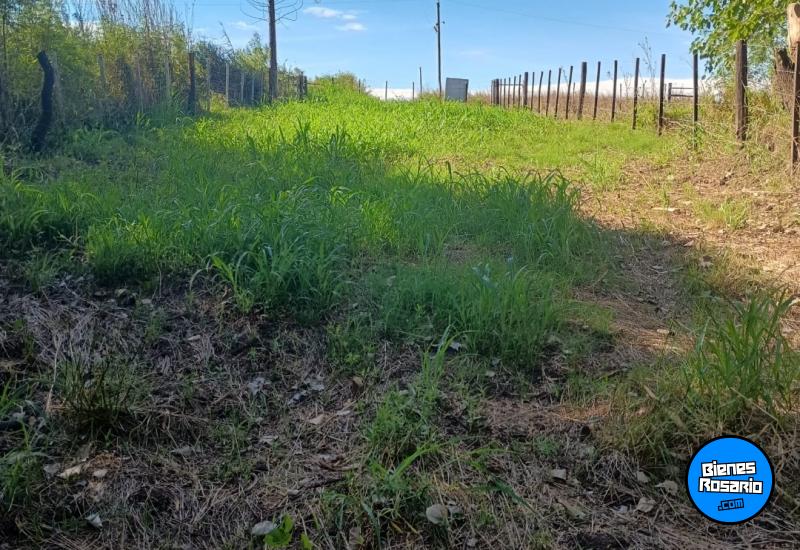 Campos - Rosario De Tala ,est.tala - Venta