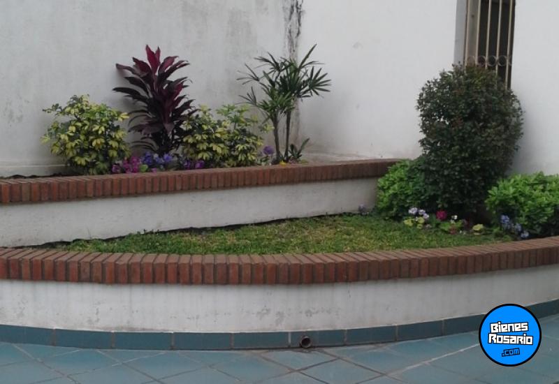 Departamentos - Rosario -  Alquiler