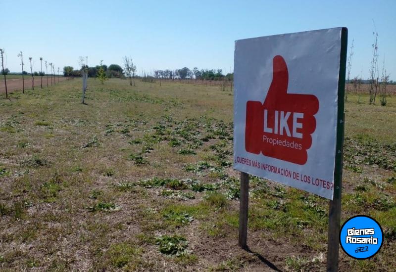 Terrenos - Rosario - Venta