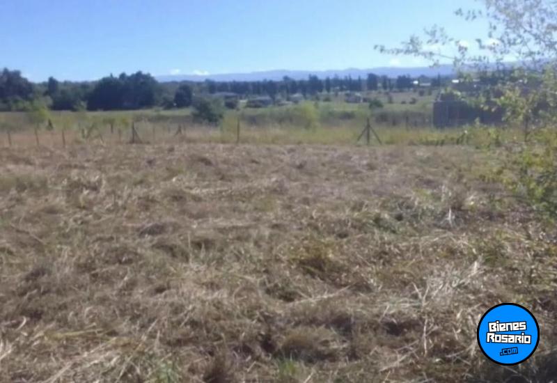 Terrenos - Los Reartes - Venta