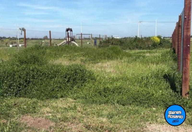 Terrenos - Arroyo Seco - Venta