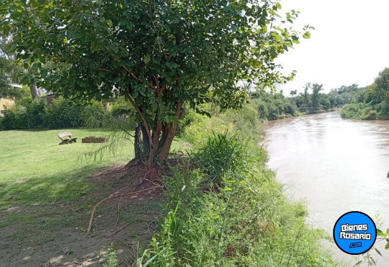 Terrenos - Andino - Venta
