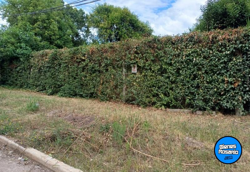 Terrenos - Zavalla - Venta