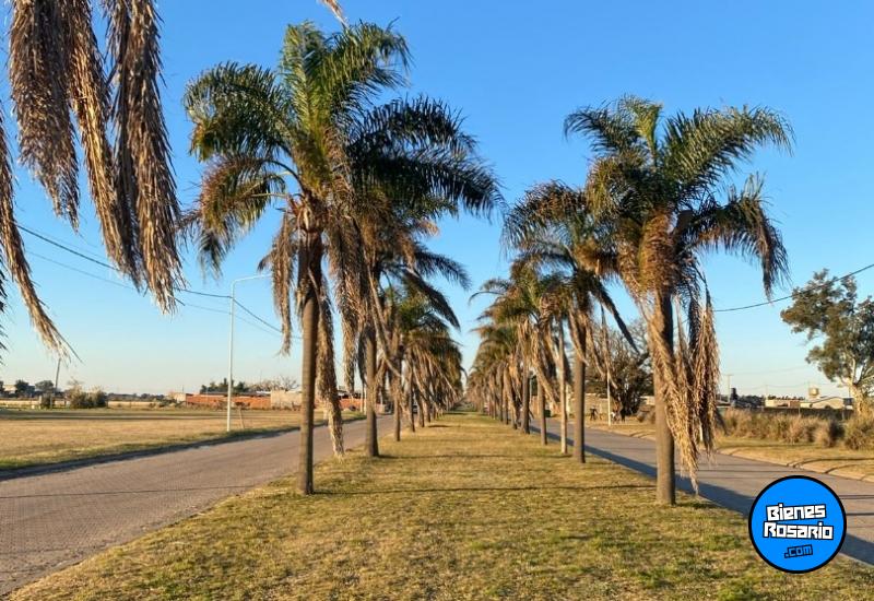 Terrenos - Arroyo Seco - Venta
