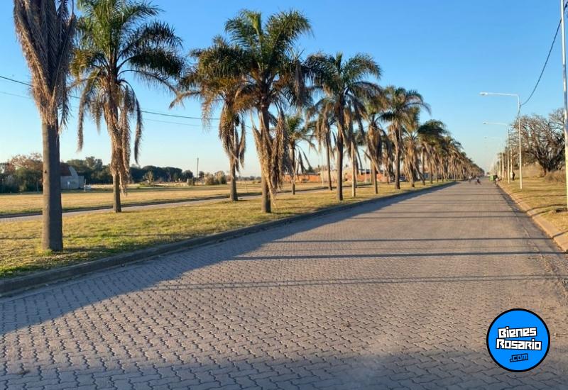 Terrenos - Arroyo Seco - Venta