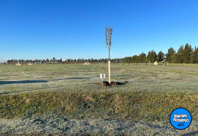 Terrenos - Rosario - Venta