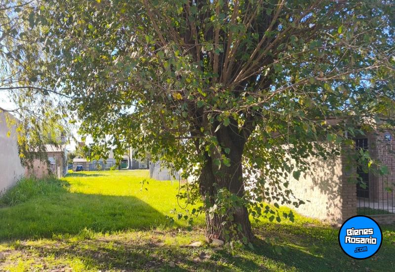 Terrenos - Alvear - Venta
