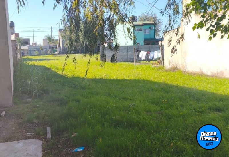 Terrenos - Alvear - Venta