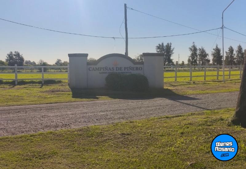 Terrenos - Pi�ero - Venta