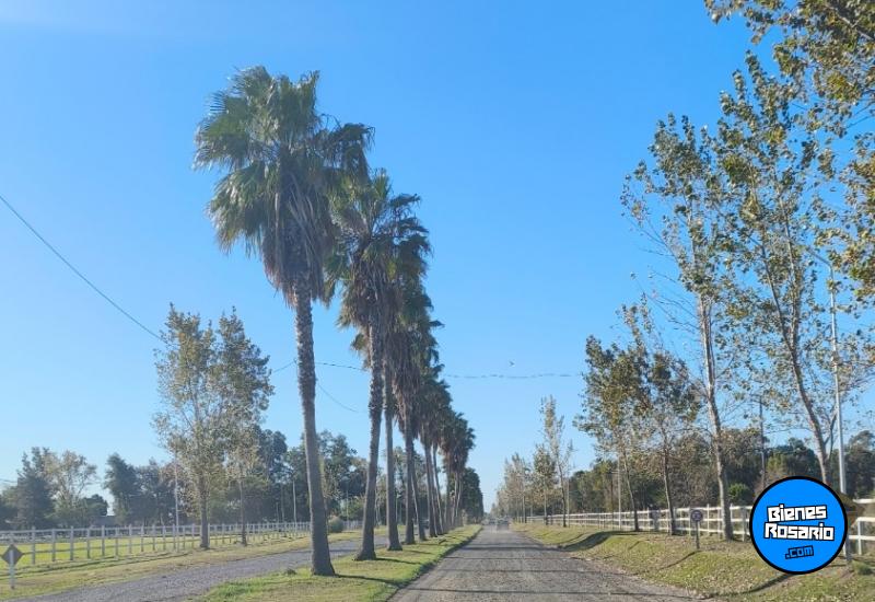 Terrenos - Pi�ero - Venta