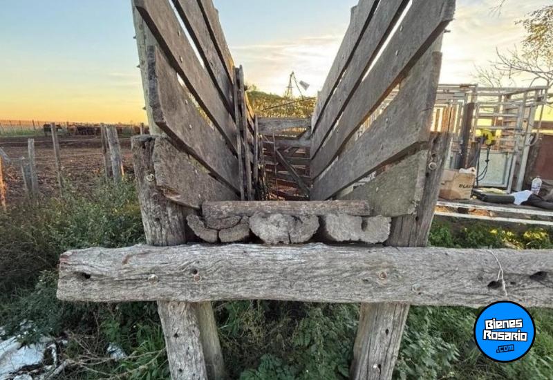 Campos - Pergamino - Venta