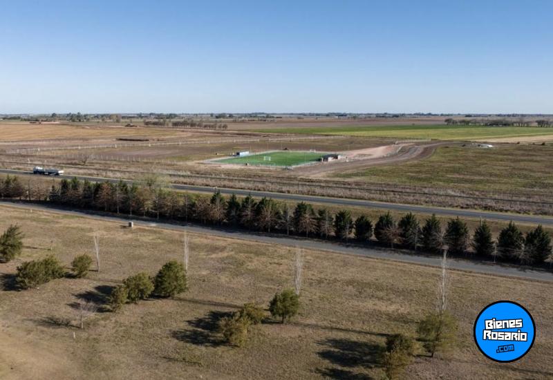 Terrenos - Ibarlucea - Venta