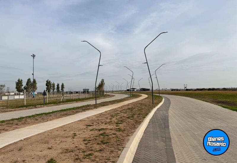 Terrenos - Ibarlucea - Venta