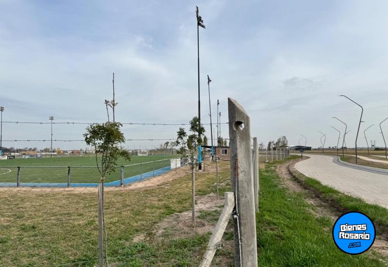 Terrenos - Ibarlucea - Venta