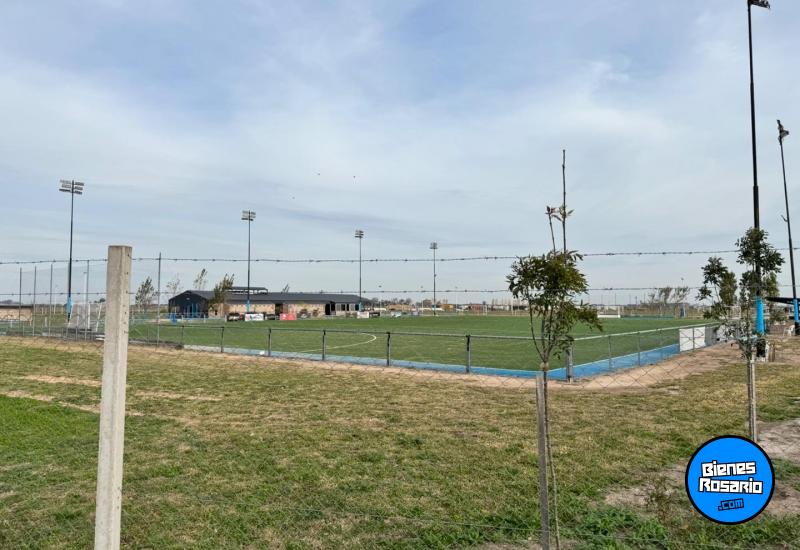 Terrenos - Ibarlucea - Venta