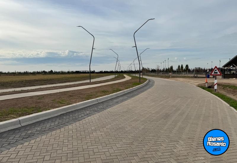 Terrenos - Ibarlucea - Venta