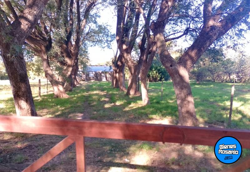 Campos - Coronda - Venta