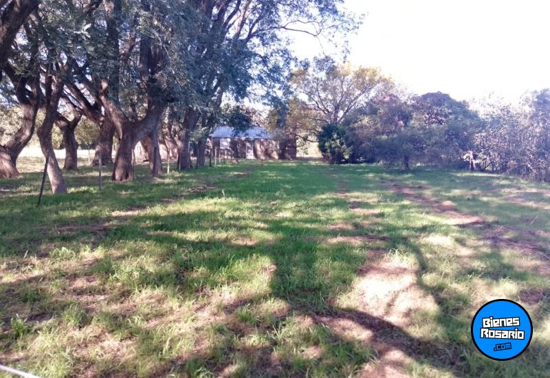 Campos - Coronda - Venta