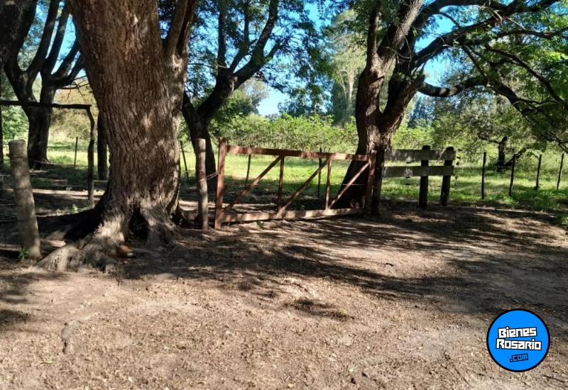 Campos - Coronda - Venta