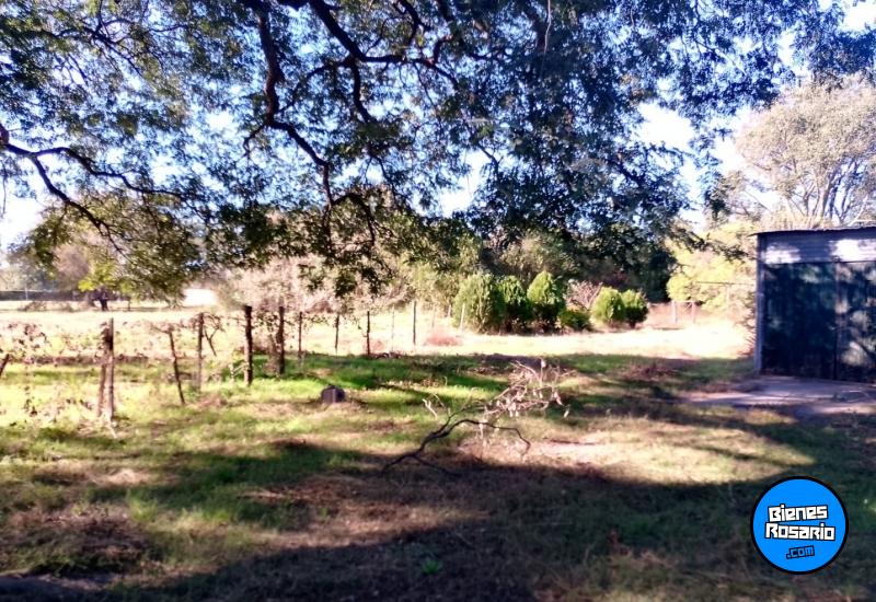 Campos - Coronda - Venta