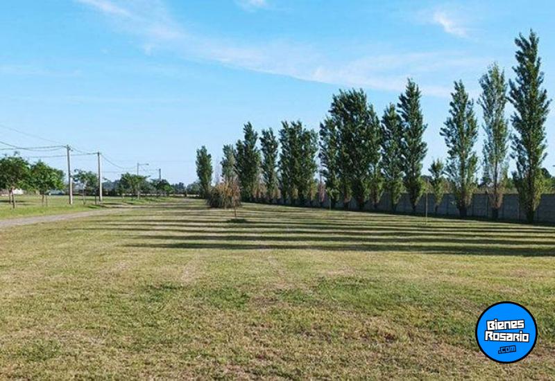 Terrenos - Ibarlucea - Venta