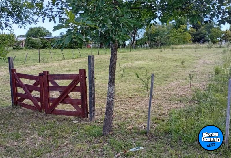 Terrenos - Amboy - Venta