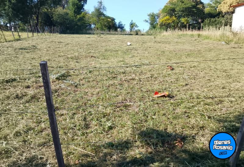 Terrenos - Amboy - Venta