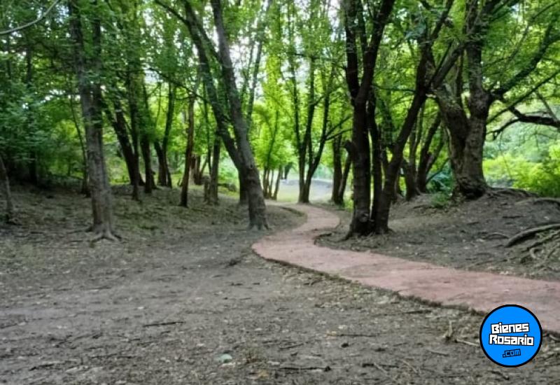 Terrenos - Amboy - Venta