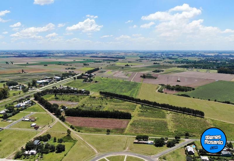 Terrenos - General Lagos - Venta