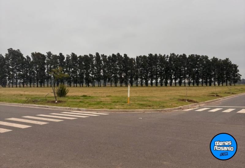 Terrenos - General Lagos - Venta