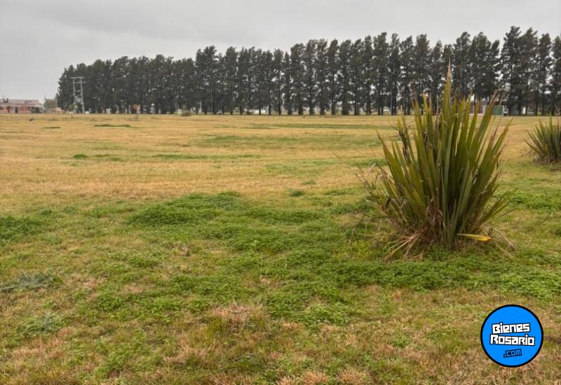 Terrenos - General Lagos - Venta