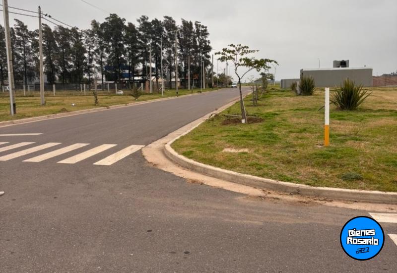 Terrenos - General Lagos - Venta