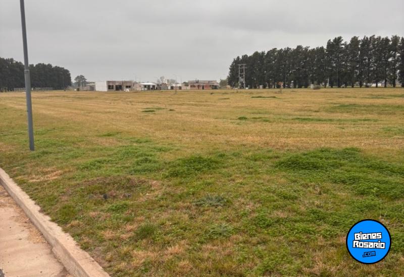 Terrenos - General Lagos - Venta