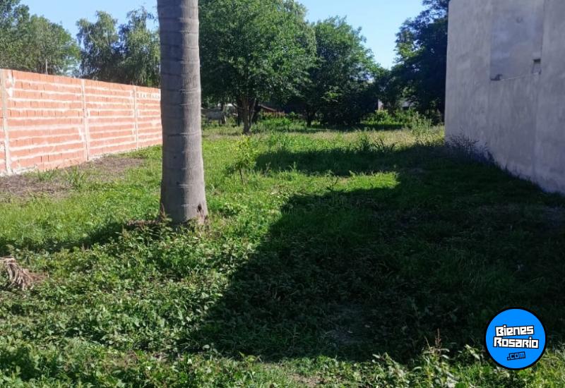 Terrenos - Gessler - Venta