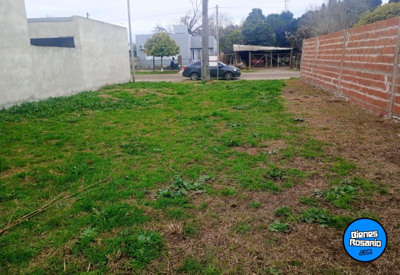 Terrenos - Gessler - Venta