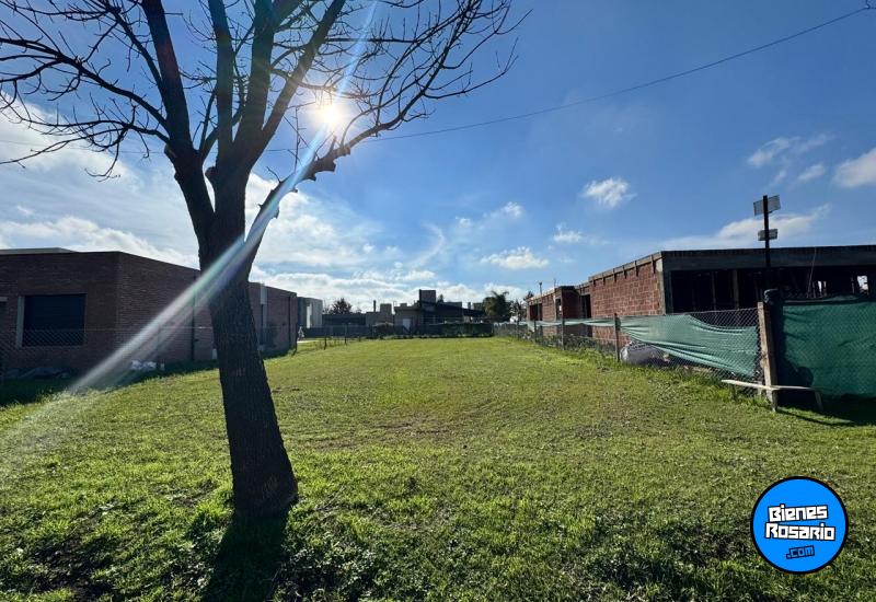 Terrenos - Ibarlucea - Venta