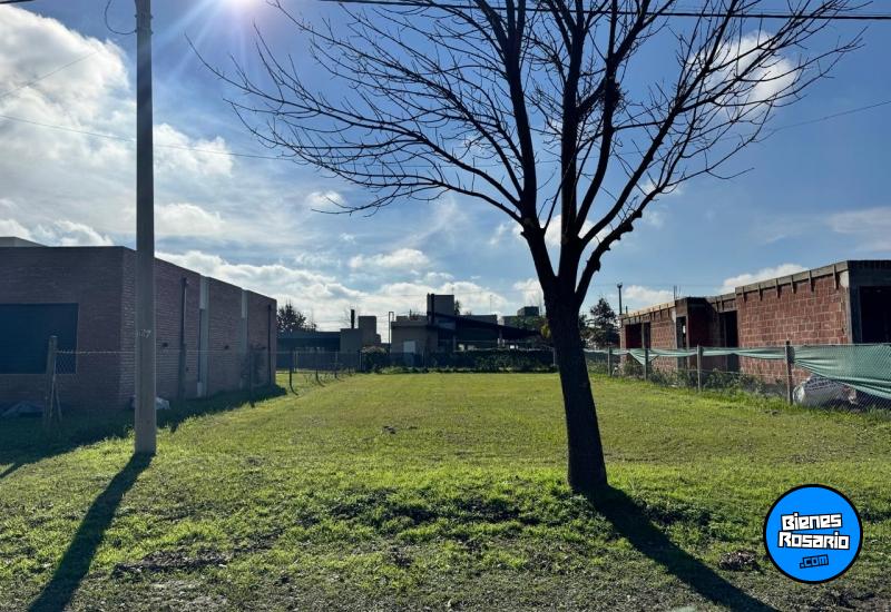 Terrenos - Ibarlucea - Venta