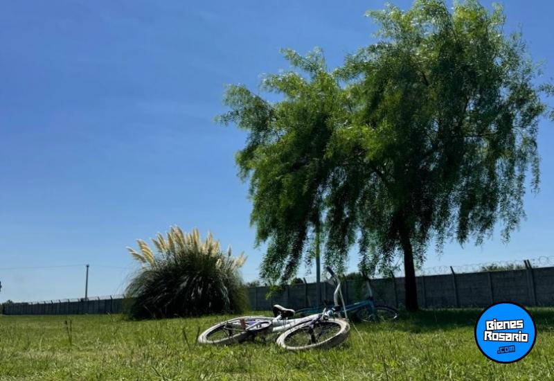 Terrenos - Ibarlucea - Venta