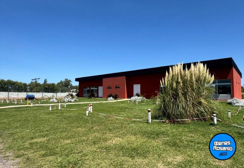 Terrenos - Ibarlucea - Venta