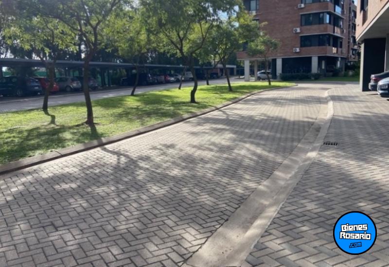 Departamentos - Rosario - Alquiler