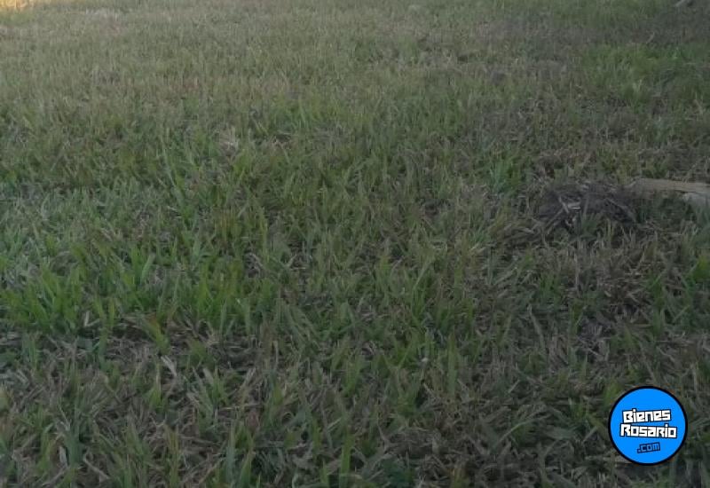 Terrenos - Rosario - Venta