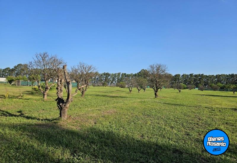Terrenos - Rosario - Venta