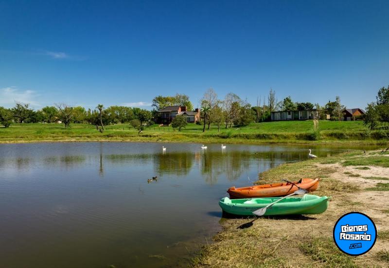 Terrenos - Oliveros - Venta