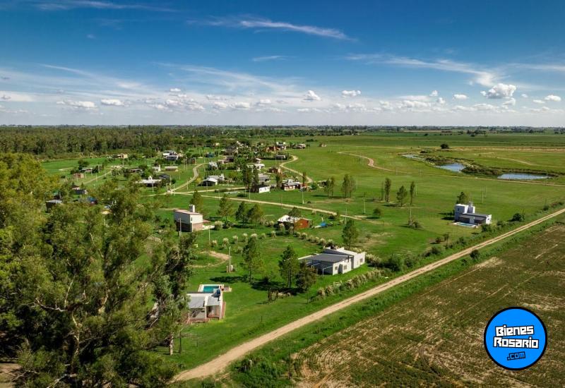 Terrenos - Oliveros - Venta