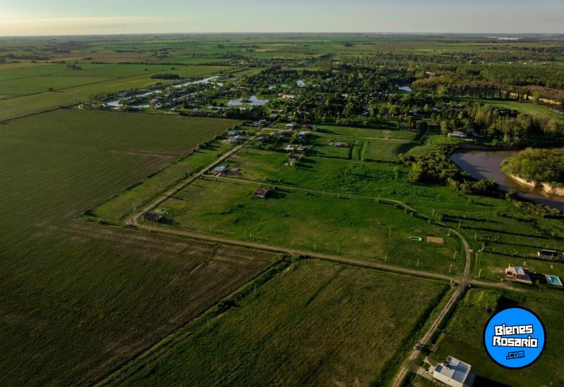 Terrenos - Oliveros - Venta