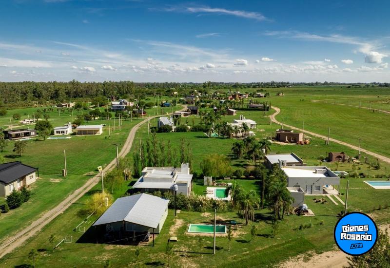 Terrenos - Oliveros - Venta