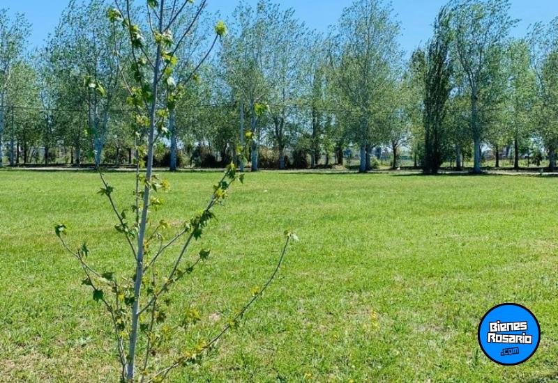 Terrenos - Pi�ero - Venta