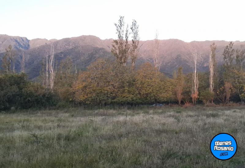 Terrenos - Otra Ciudad - Venta