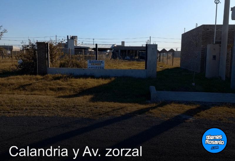 Terrenos - Villa Amelia - Venta