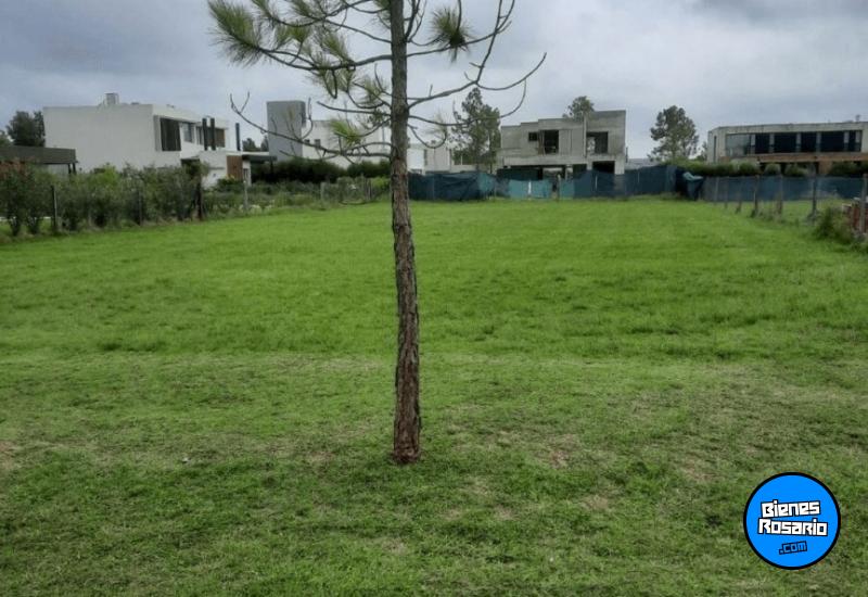 Terrenos - Roldan - Venta